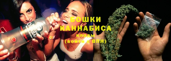 индика Белоозёрский