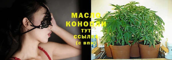 индика Белоозёрский