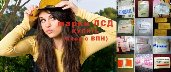 индика Белоозёрский