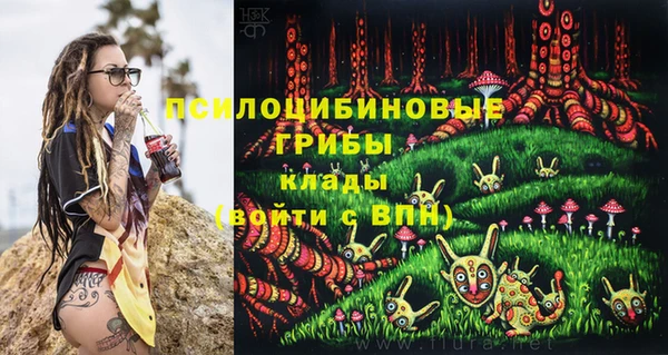 2c-b Богородицк