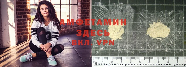индика Белоозёрский
