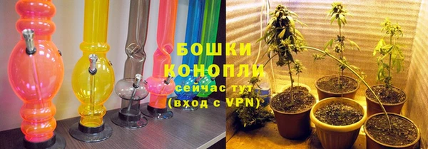 твердый Белокуриха