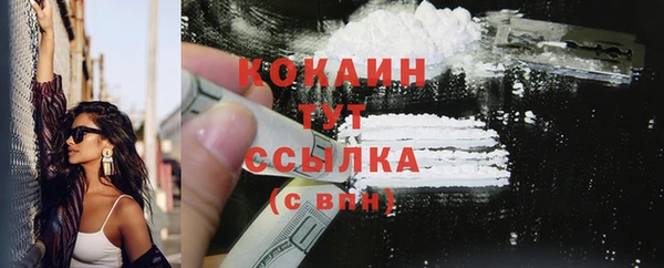 индика Белоозёрский