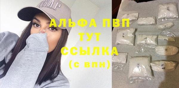 индика Белоозёрский