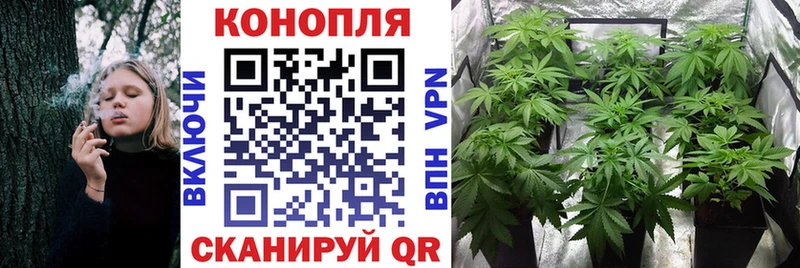 Бошки марихуана THC 21%  Онега 